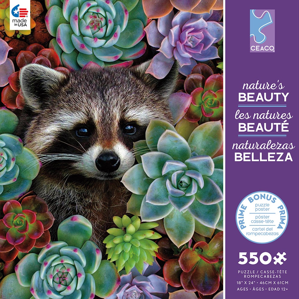 550PC NATURE'S BEAUTY ASST (6) BL